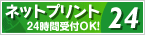 �l�b�g�v�����g24��������